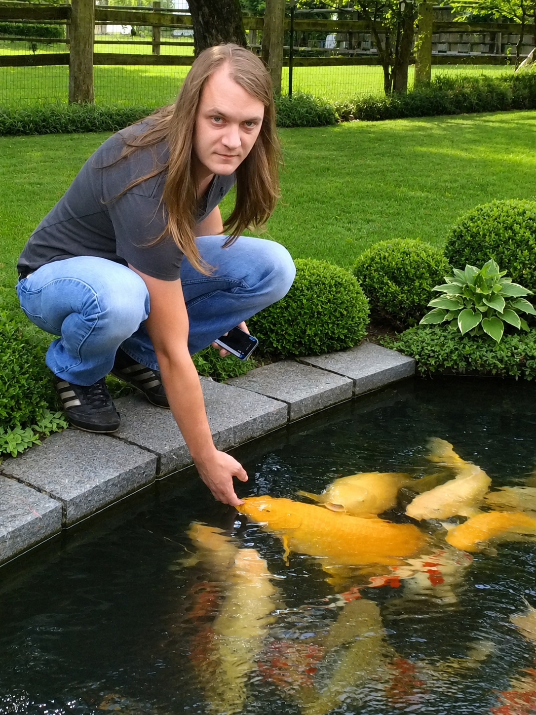 Michael füttert seinen Yamabuki Ogon Koi am Teich in Inkwil